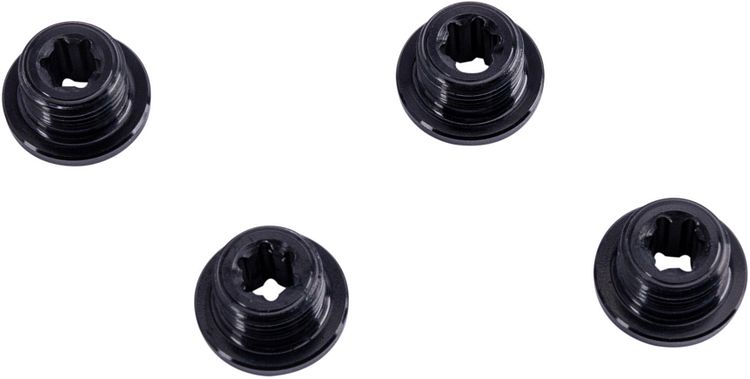 Campagnolo Kettenblattschraube EK schwarz