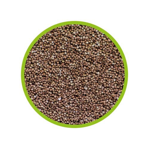 HOBBY Artemia-Eier 150 Milliliter Fischfutter