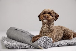 WOLTERS Sweet Dreams Reisedecke salt/pepper