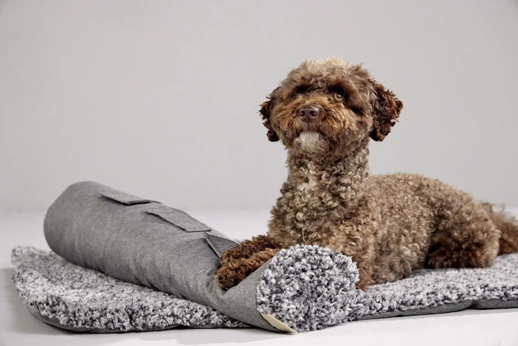 WOLTERS Sweet Dreams Reisedecke salt/pepper