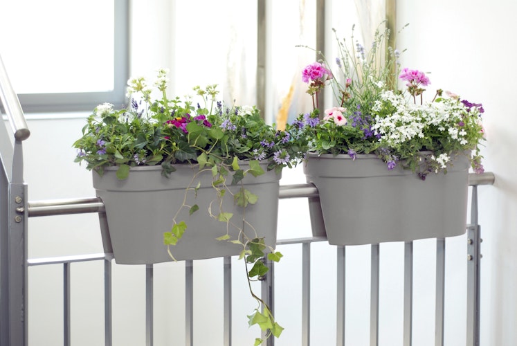 KHW Flowerclip XL, 2er Set