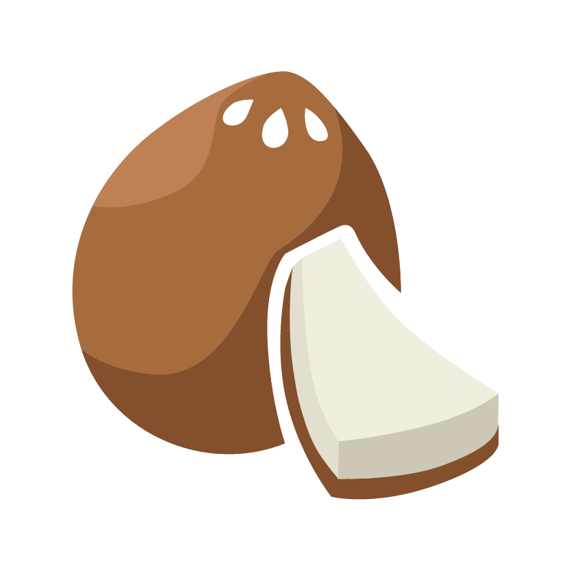 micr_icon_kokosnuss