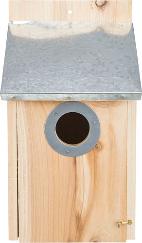 TRIXIE Nistkasten für Stare, Kiefernholz, 18 × 31 × 16 cm/ø 4,5 cm