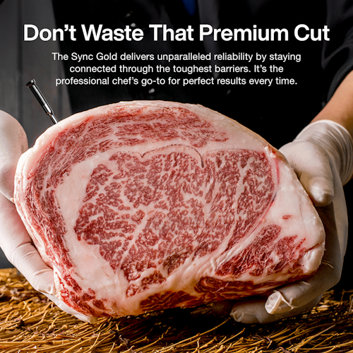 Typhur Grillthermometer SYNC Gold Dual - 2 Thermometer