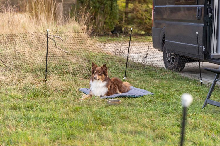 TRIXIE Mobiler Hundezaun, 15 m, schwarz
