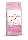 Vorschaubild ROYAL CANIN FHN MOTHER & BABYCAT Katzentrockenfutter