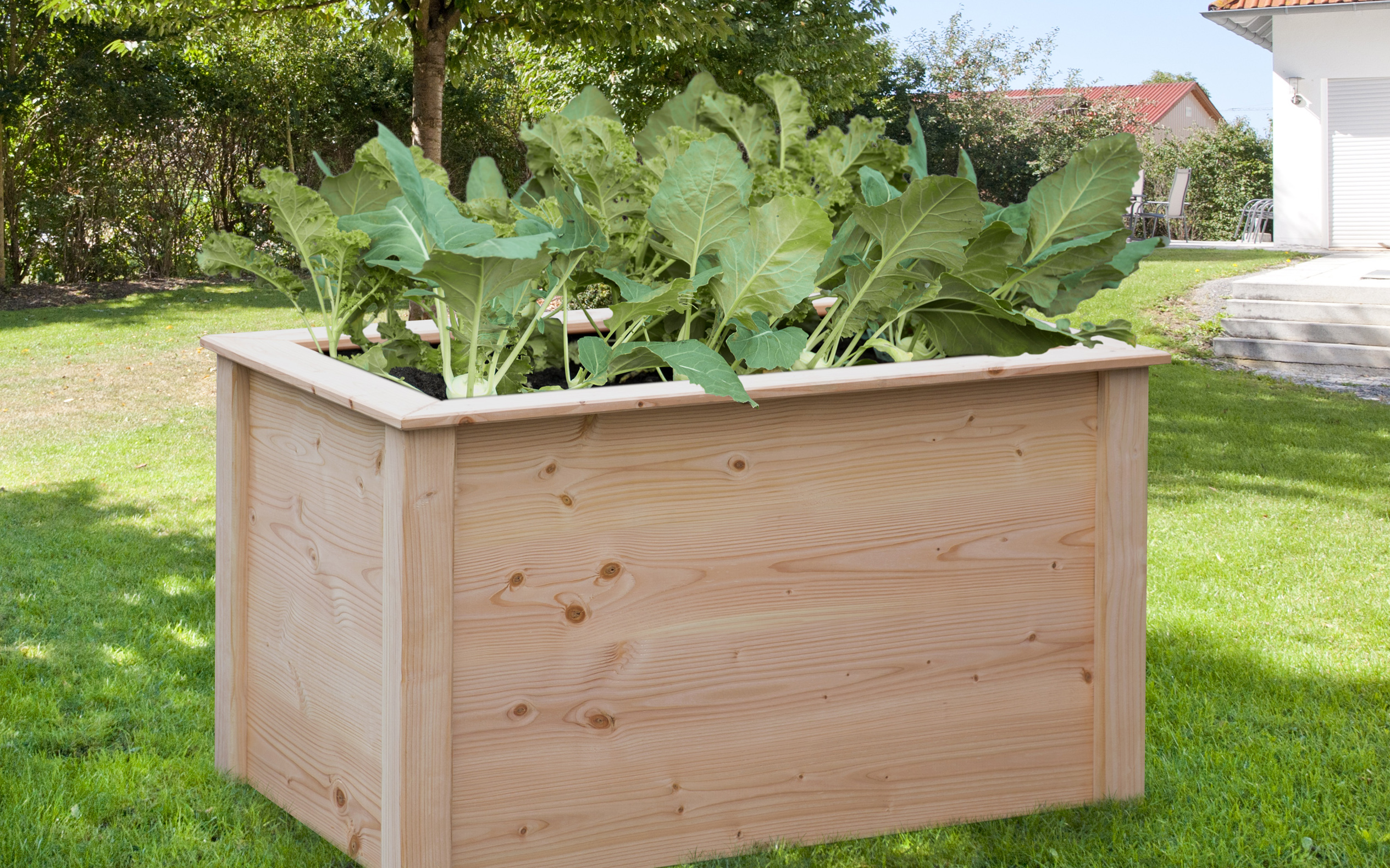 BM TYP 532 Hochbeet 150 x 80 x 78 cm, Douglasie natur