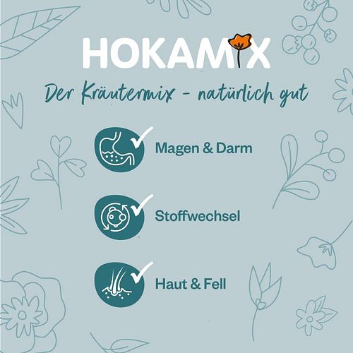 grau Hokamix30 Snack Petit Nahrungsergänzung