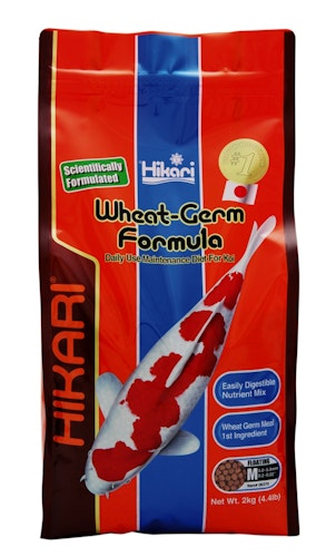 Hikari Wheat-Germ Medium Koifutter