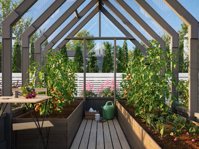 Palmako Gewächshaus / Pavillon / Glashaus Emilia 8,2  m² - 18 mm