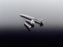 T&J Edelstahlschraube 4,8 x 32 mm, TX-Antrieb T&J Edelstahlschraube 4,8 x 32 mm, TX-AntriebZubehörbild