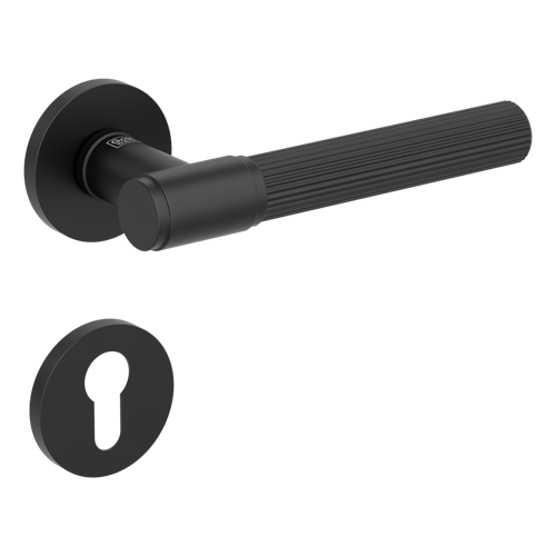 Griffwerk VAYA 136 ARIS fast2fix Fast2Fix Rosetten rund Profilzylinder Graphitschwarz