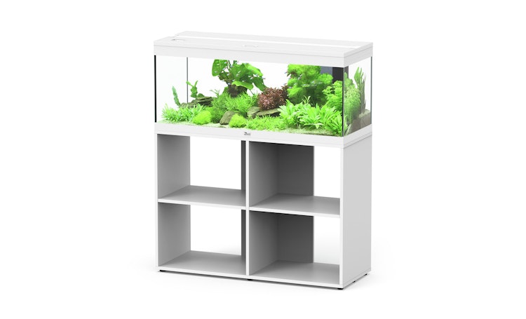Aquatlantis Prestige 100 Stand Aquarium mit Unterschrank