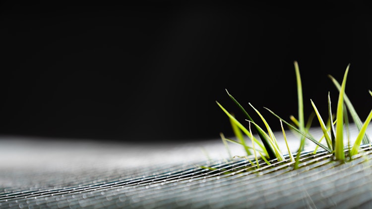 Vitavia Mäusegitter Wühlmausgitter Draneo - Nagerschutz für Hoch- und Innenbeete 100 x 100 cm