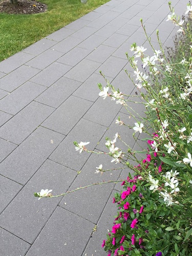 Diephaus Pflastersteine LUMO PE2