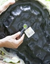 Heissner Bachlaufschale, Felsgrau 73x53x7 cm (B035-00)