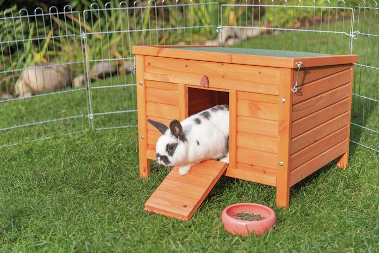 TRIXIE natura Kleintierhaus 60x50x47cm braun