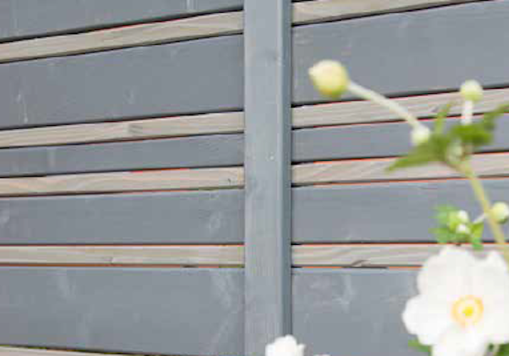 BM Serie TYP 223 Grundelement, 90 x 180cm, Fichte Basaltgrau/Hellgrau