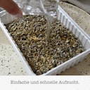 GimCat Katzen-Gras mit Gerstengras-Saat 150g Nahrungsergänzung für Katzen