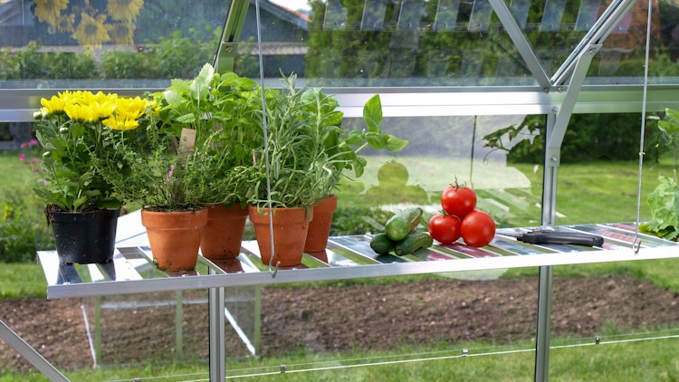 Vitavia klappbares Aluregal inkl. Befestigungsmaterial