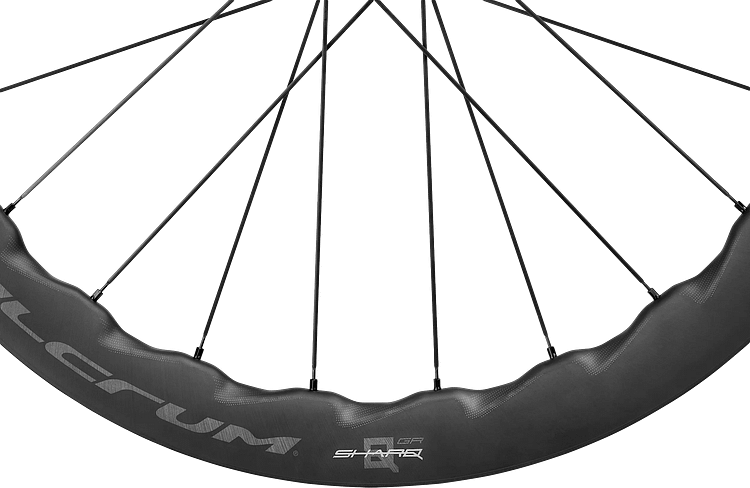 Fulcrum Laufradsatz Sharq GR 28 Zoll schwarz HG 9-12