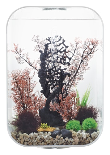 BiOrb Aquarium LIFE 60 MCR