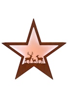 Badeko Deko-Stern „Zillertal“ in Edelrostoptik inkl. LED-Beleuchtung 