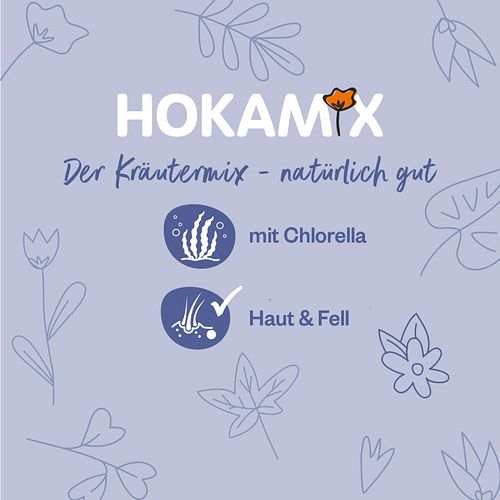 grau Hokamix30 Derma Nahrungsergänzung