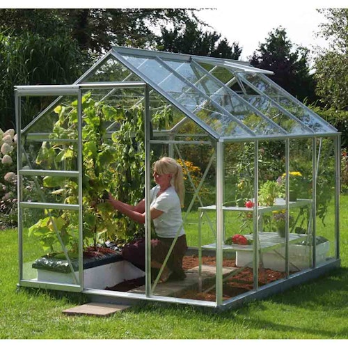 Vitavia Gewächshaus Venus 5000 inkl. 1 Dachfenster - 5,0 m²