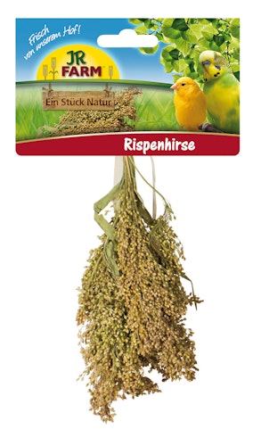 JR FARM Birds Rispenhirse 100g Vogelsnack