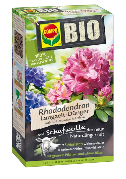 ackerbohne saatgut Ackerbohne 'Red Epicure' (Vicia faba) – Bio-Saatgut – Feggies main image 0