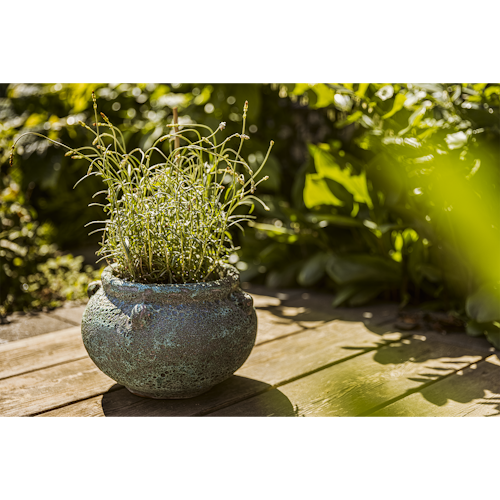 Plant Pot Ensio grün antik