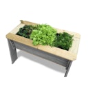 Vorschaubild EXIT Aksent Kinder Hochbeet L