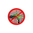 Vorschaubild Noor Unkrautblocker 105 g/m² grün 0,9x10m