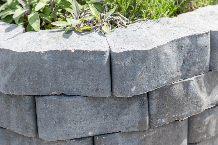 Diephaus Mauerstein FLORO SCHNECKE QUARZIT 160/140 CM