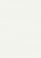 MEISTER Dekorpaneele MeisterPaneele. terra DP 250 20102 Snow white wood alle Längen