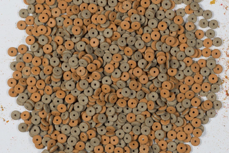 Tetra FunTips Tablets 75 Tabletten Fischfutter