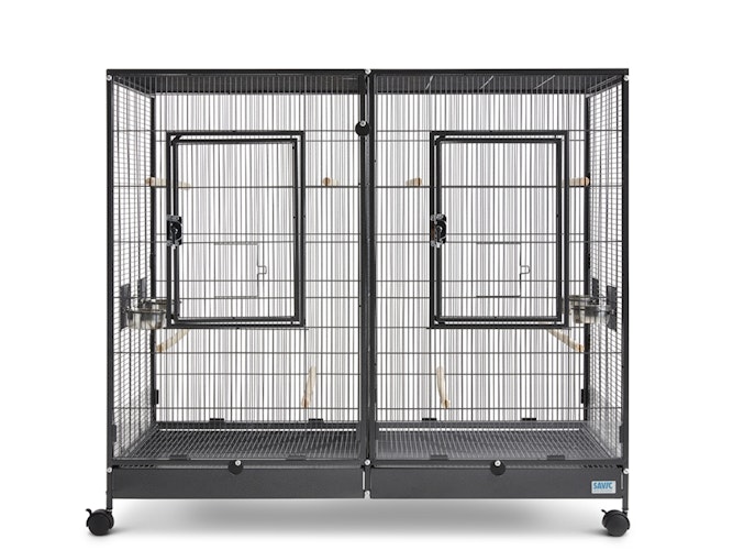 SAVIC Tasmania 120 auf Rollen