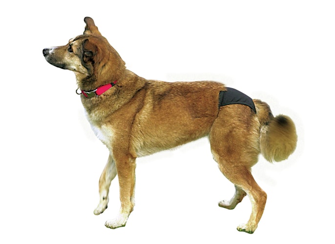 JR FARM Knabber-Sträußchen 25g Kleintiersnack