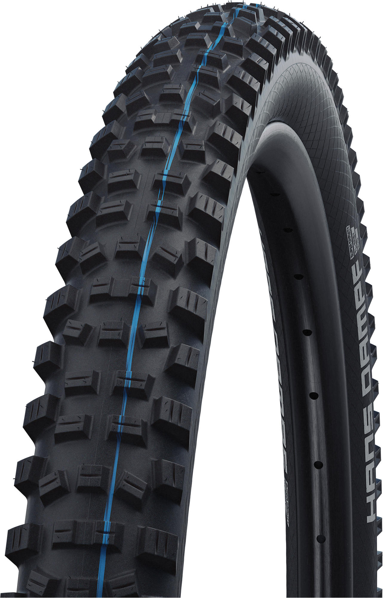 Schwalbe Reifen Hans Dampf Evolution Line