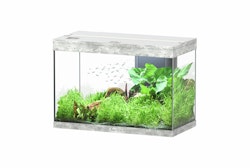 aquatlantis Splendid 145 Steinoptik Aquarium mit Unterschrank