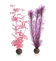 biOrb Seetang Set mittelgroß pink (46082)