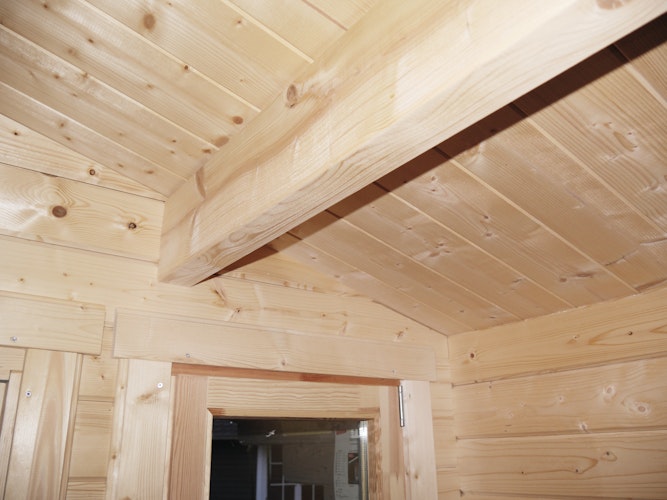 Wolff Finnhaus Gartenhaus Trondheim 70-D isolierverglast XL mit Schiebetür rechts