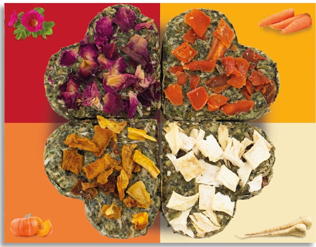 JR FARM Grainless Glücks-Quartett 60g Kleintiersnack