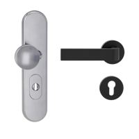 Griffwerk TITANO Kombi SB_882 ES1 (S2) -Edelstahl matt Kombi-Schutzbeschlag -Knopf/Drücker -mit Griff DESM GRAPH -GSC -rund -L -ZA, 72mm -TS 38-50