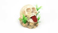 aquatlantis Totenkopf