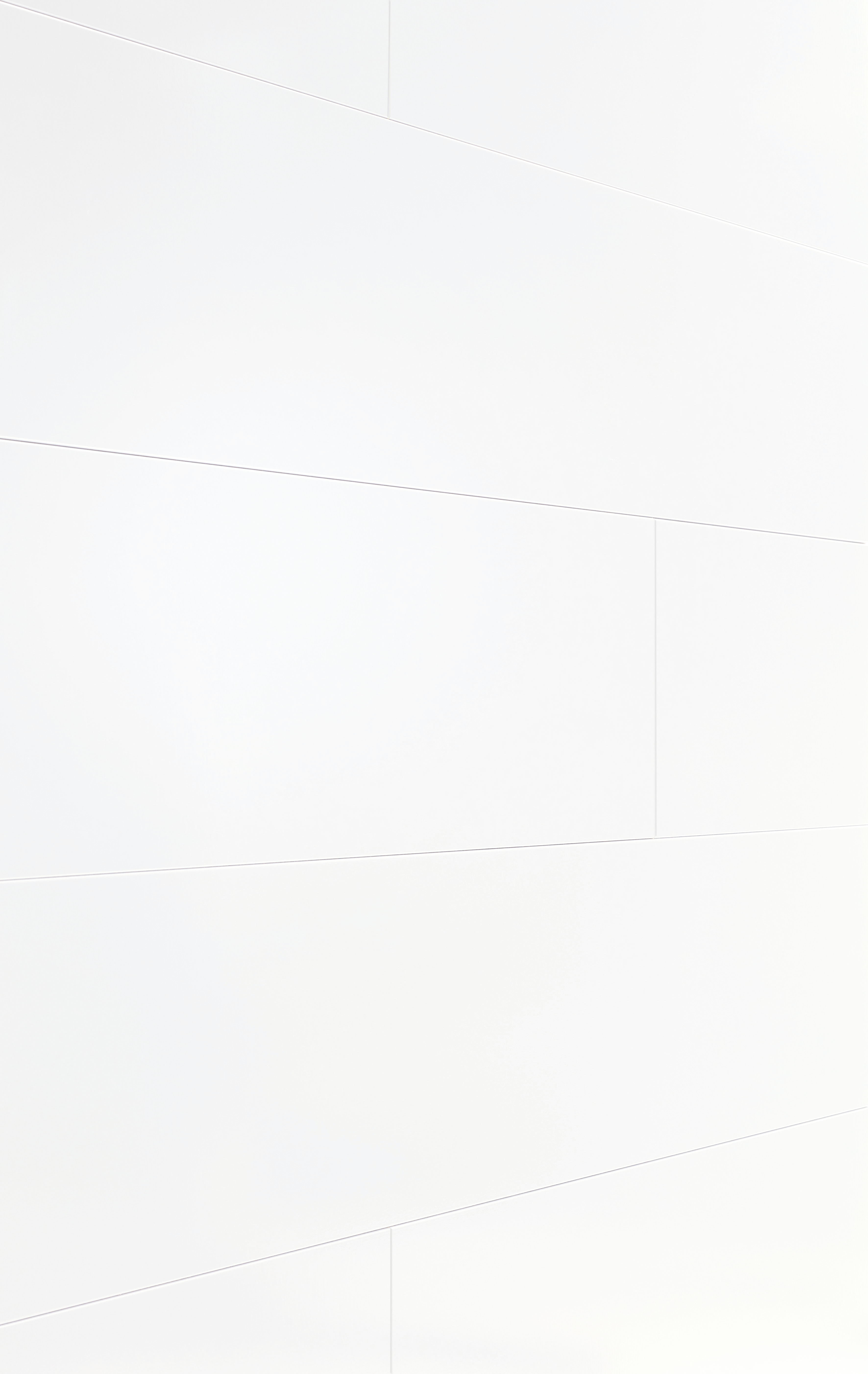 MEISTER Dekorpaneele MeisterPaneele. bocado DP 250  Weiß Hochglanz 4084