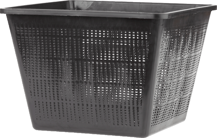 Oase Pflanzkorb viereckig