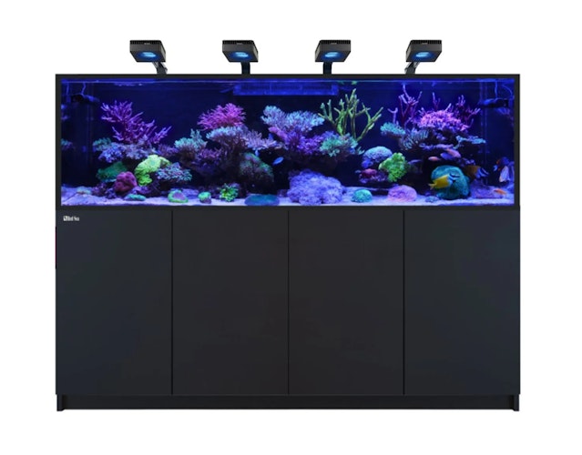 Red Sea REEFER™ S-1000 G3 Deluxe - Schwarz (inklusive 4 X RL170S & Befestigungsarme)