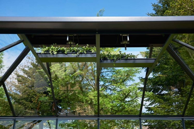 Juliana Regal zur Anbringung unter dem Dach (passend zu Orangerie, Grand Oase 13,0 & 18,8 m², Premium, Gärtner )